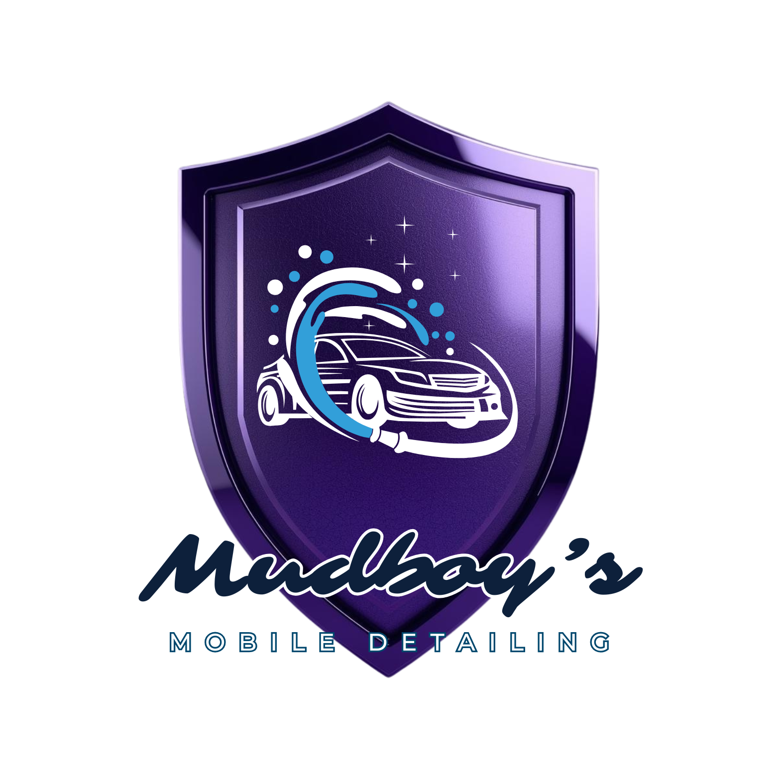 Mudboy's Mobile Detailing